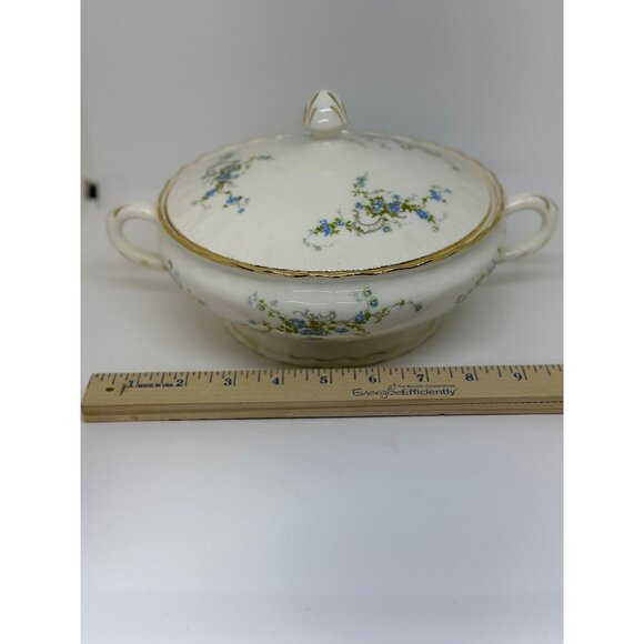 VTG Pope Gosser Fleurette Covered 5.5"x9.5" Vegetable Dish Blue Floral Gold Trim - Picture 4 of 10